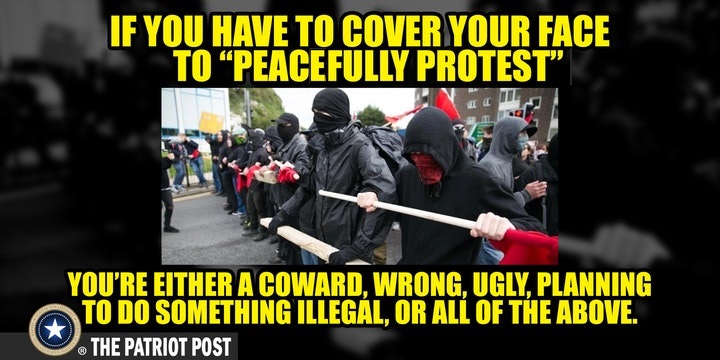 If you have to cover your face to peacefully protest, you're either a coward, ugly, planning to do something illegal, or all of the above.