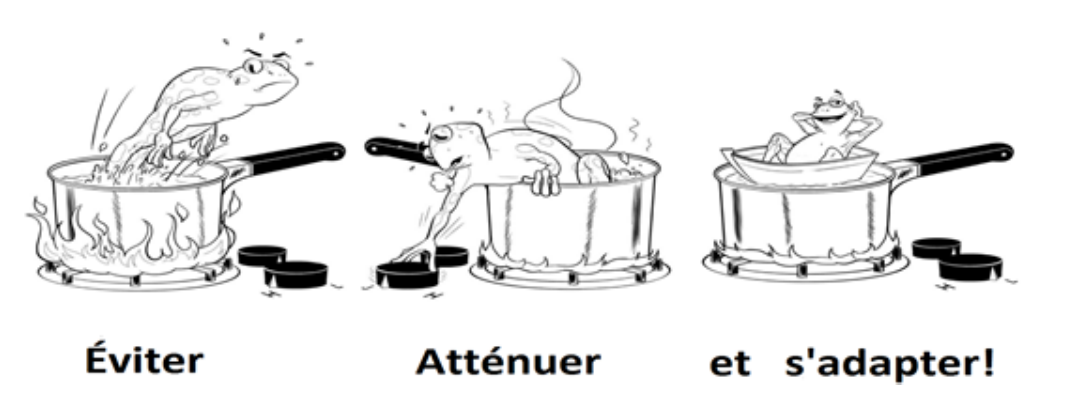 Grenouille dans l'eau bouillante: viter - Attnuer - Adapter.