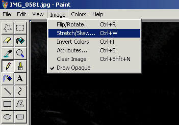 Image menu, Stretch/Skew menu item