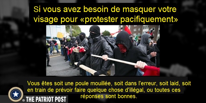 Si vous devez vous couvrir le visage pour protester pacifiquement, vous tes soit une poule mouille, soit laid, soit en train de prvoir faire quelque chose d'illgal, ou toutes ces rponses sont bonnes.