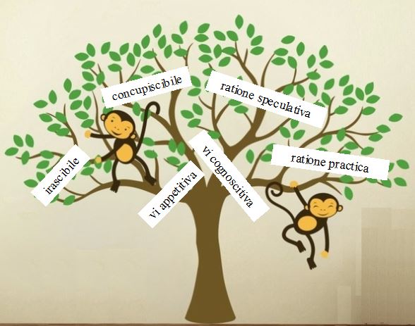 Singes dans un Arbre de Porphyre.
