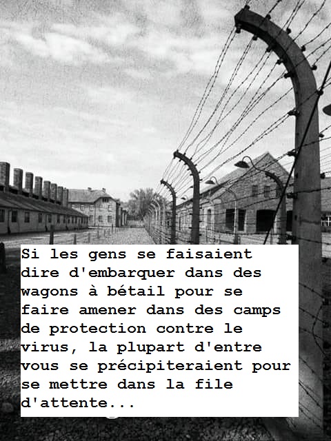 Si les gens se faisaient dire d'embarquer dans des wagons  btail pour se faire amener dans des camps de protection contre le virus, la plupart d'entre vous se prcipiteraient pour se mettre dans la file d'attente...