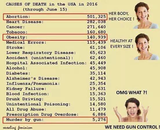 Les causes de mortalit au USA en 2016.