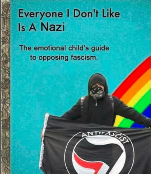 Tous ceux que je n'aime pas sont des Nazis; Le guide de l'enfant motif pour lutter contre le fascisme.