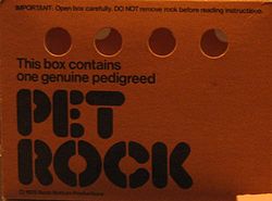 Pet Rock box (complete with holes to let the rock breath!).