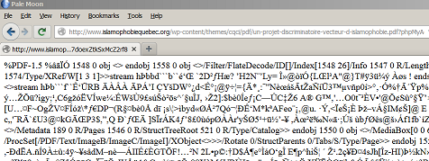 C'est un PDF a?