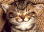 Sourire