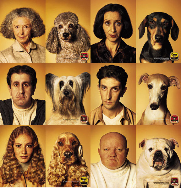 Chiens qui ressemblent  leurs propritaires.