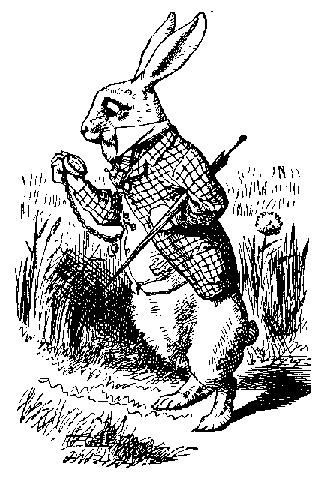 Suivez le lapin blanc