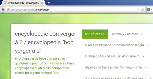 Site web