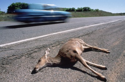 N'importe qui, pouvant passer 36 mois sans baiser Bambi, est un archvque en puissance.